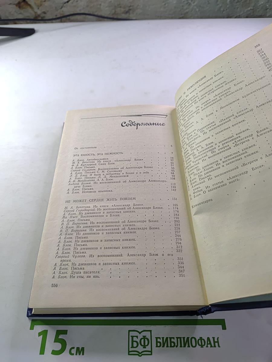 Я лучшей доли не искал... Судьба Александра Блока в письмах, дневниках, воспоминаниях