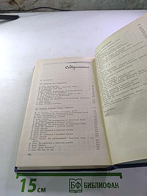 Я лучшей доли не искал... Судьба Александра Блока в письмах, дневниках, воспоминаниях