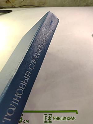 Толковый словарь по вычислительным системам