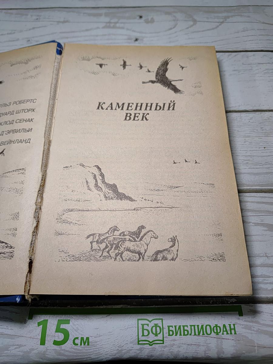 Каменный век