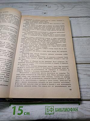Каменный век