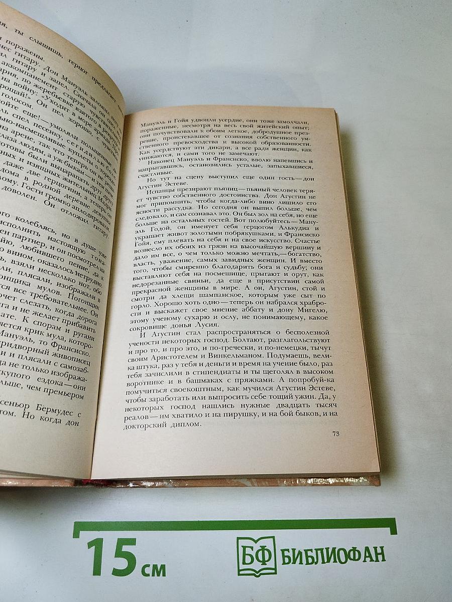 Гойя, или Тяжкий путь познания