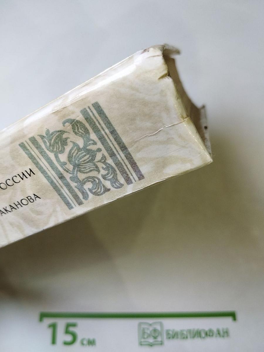 Г.П. Данилевский. Беглые в Новороссии. Воля. Княжна Тараканова