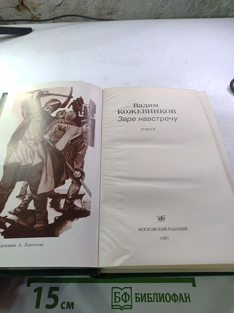 Заре навстречу