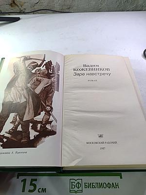 Заре навстречу