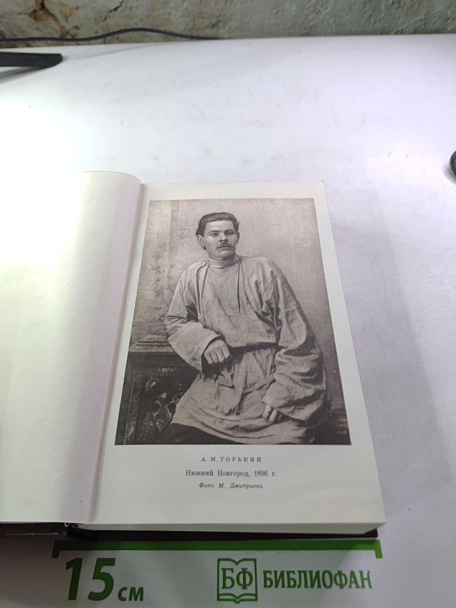 Полное собрание сочинений. Том второй: Рассказы, очерки, наброски, стихи 1894-1896