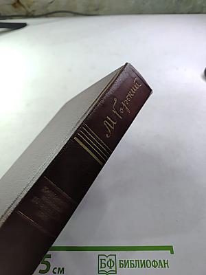 Полное собрание сочинений. Том второй: Рассказы, очерки, наброски, стихи 1894-1896