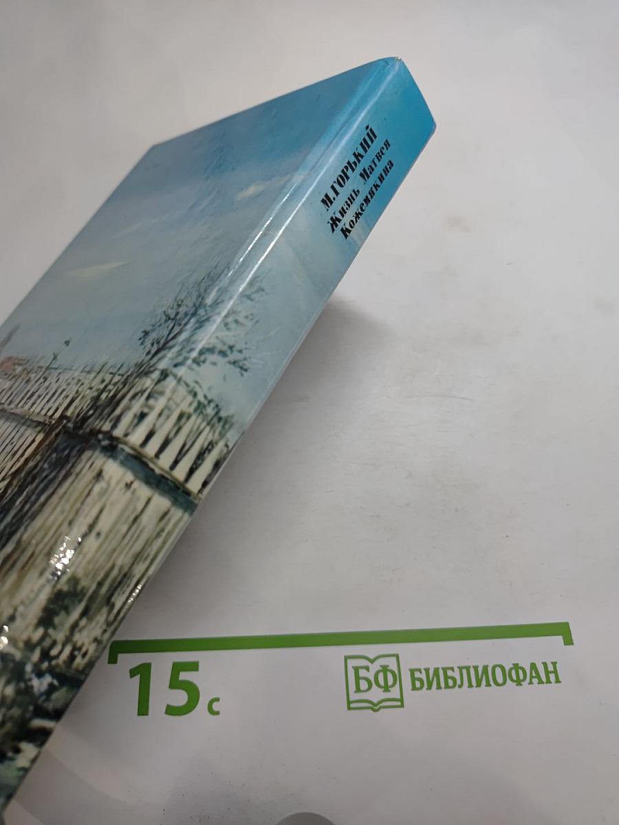 Жизнь Матвея Кожемякина