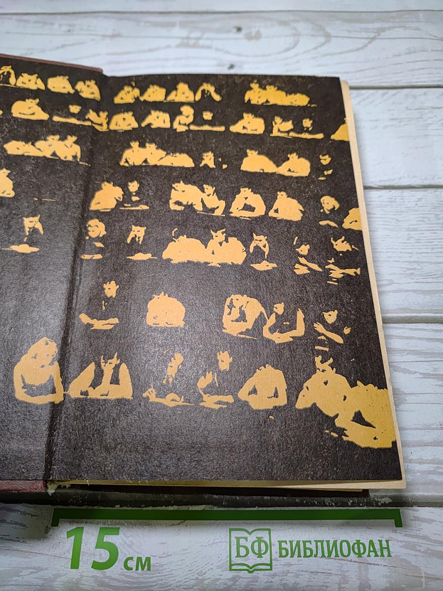 Открытая книга