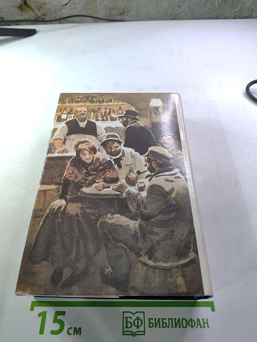 Собрание сочинений в двенадцати томах. Том 4. Западня. Страница любви