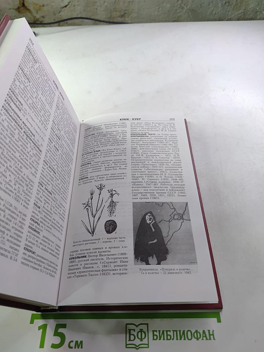 Новая иллюстрированная энциклопедия. Кл-Ку