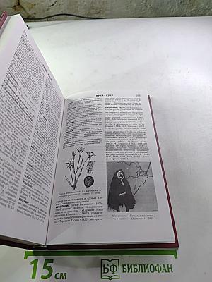 Новая иллюстрированная энциклопедия. Кл-Ку