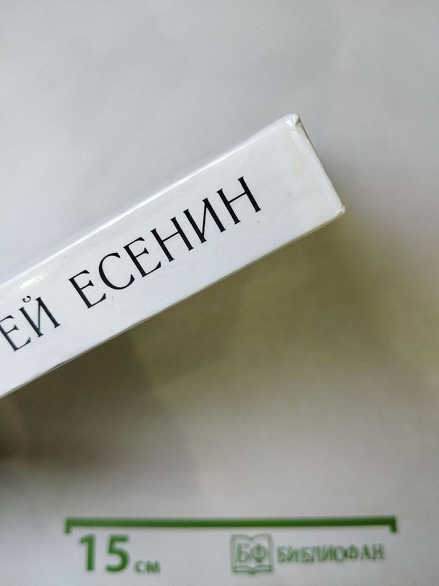 Сергей Есенин. Образ, стихи, эпоха