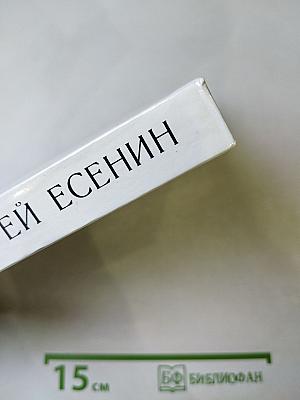 Сергей Есенин. Образ, стихи, эпоха