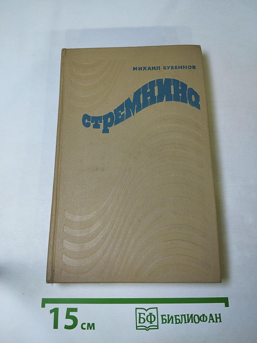 Стремянина. Роман