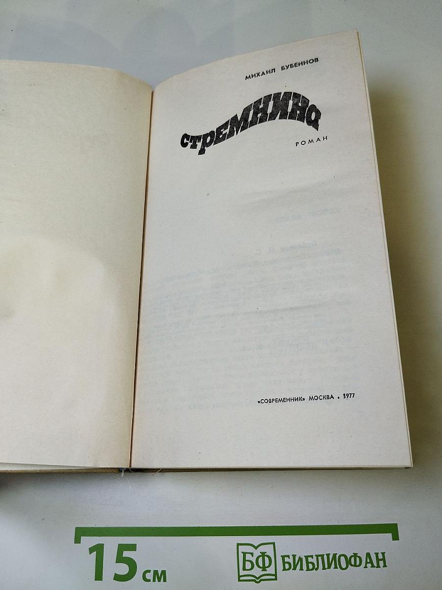 Стремянина. Роман