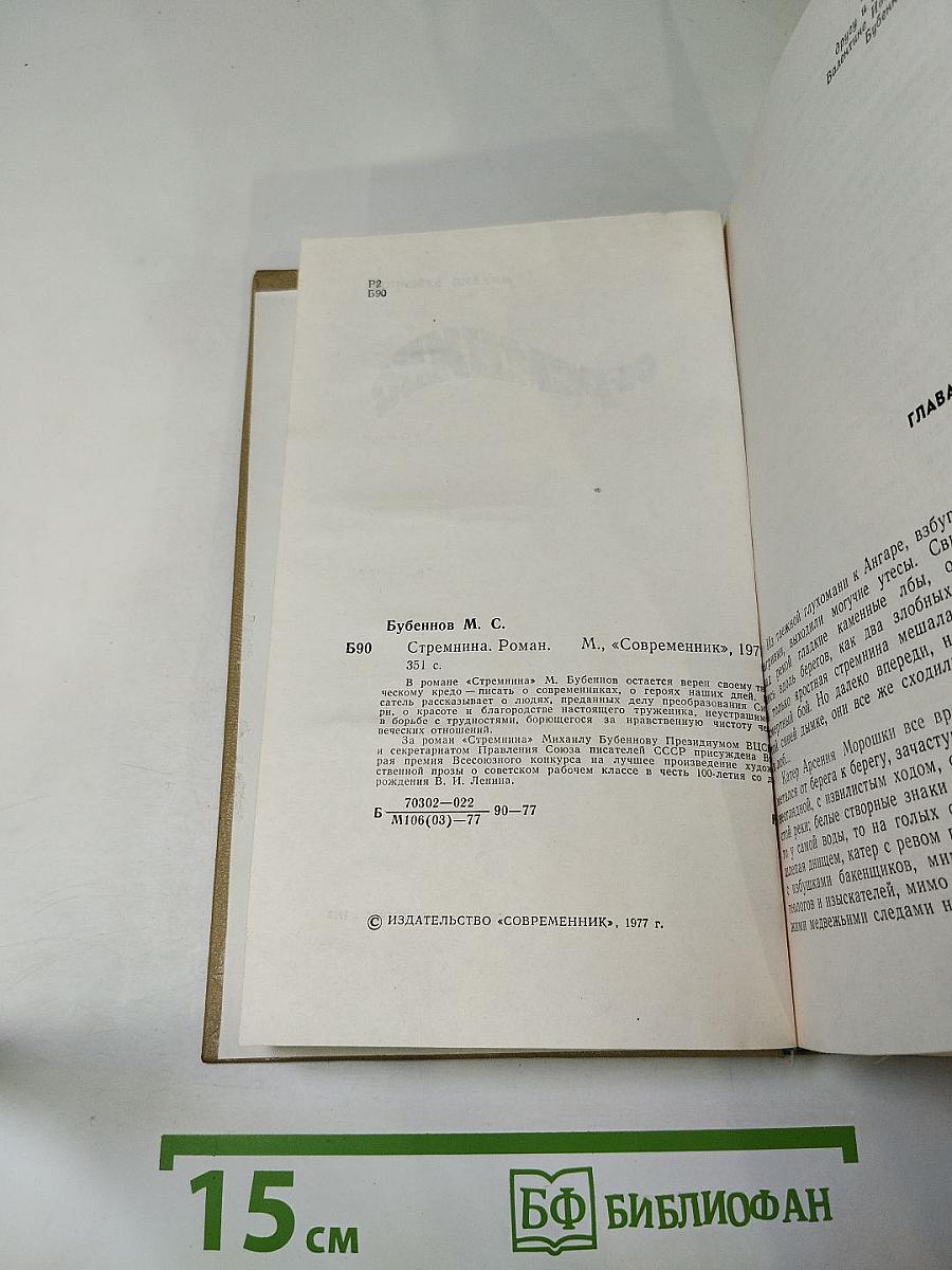 Стремянина. Роман