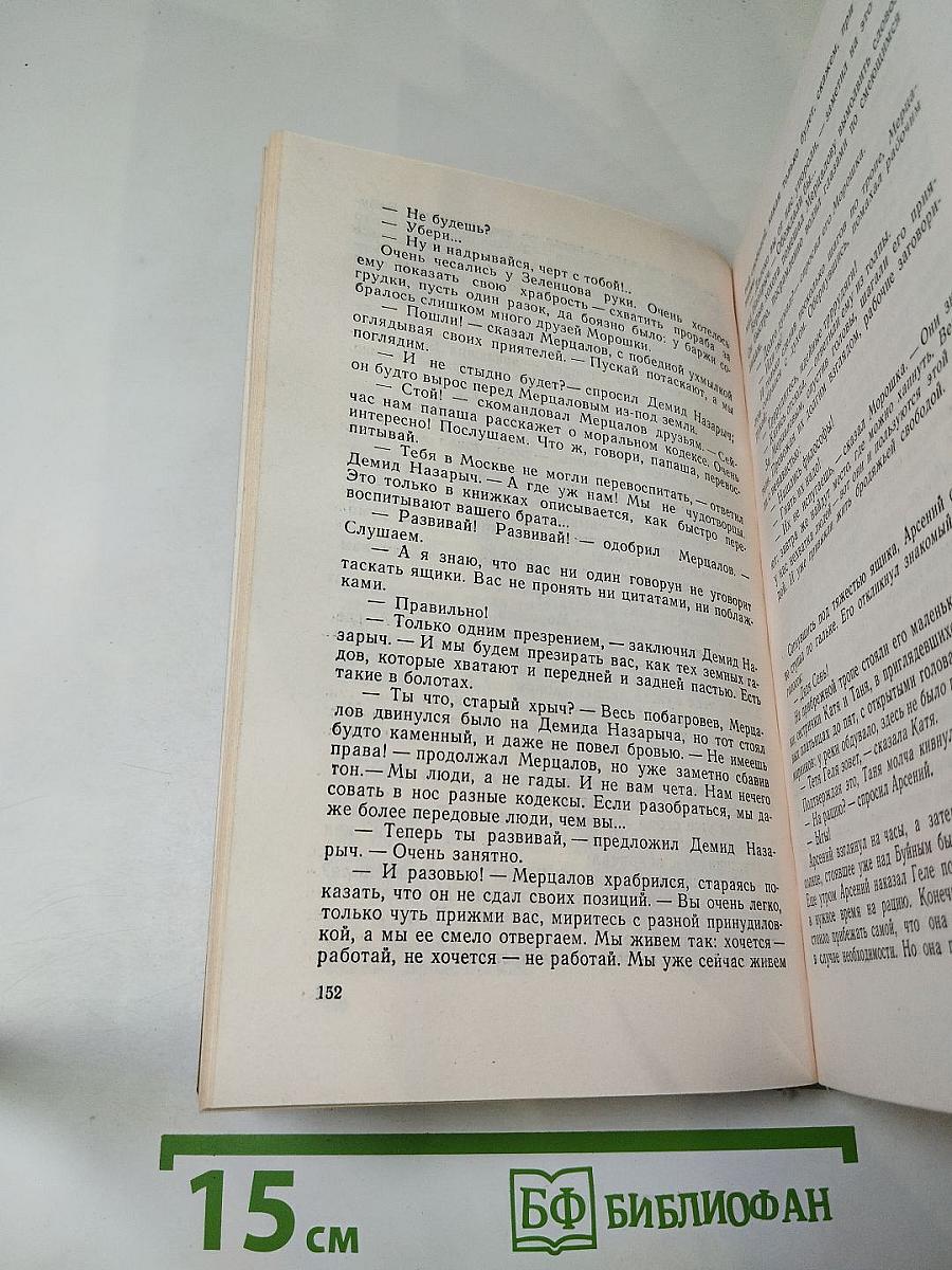 Стремянина. Роман