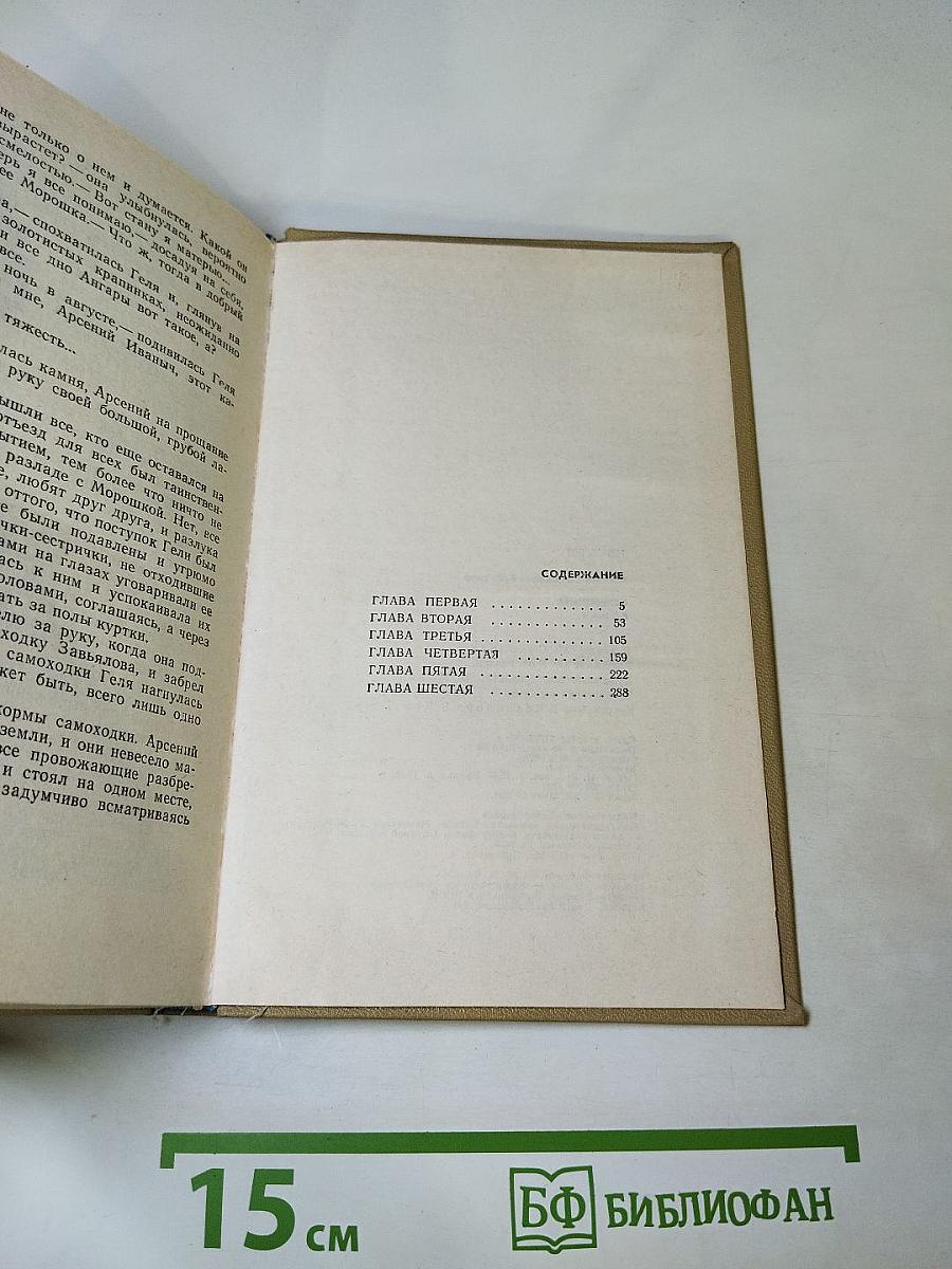 Стремянина. Роман