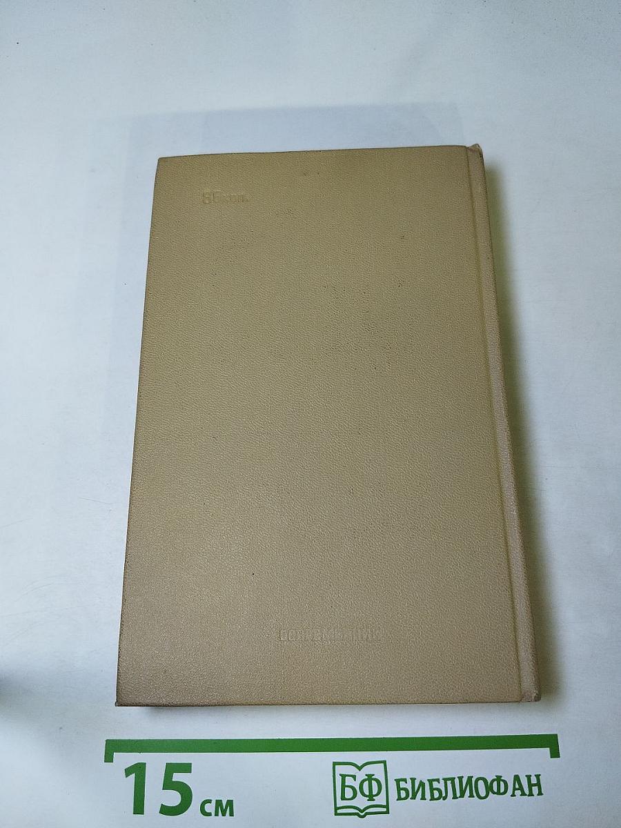 Стремянина. Роман