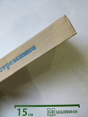 Стремянина. Роман