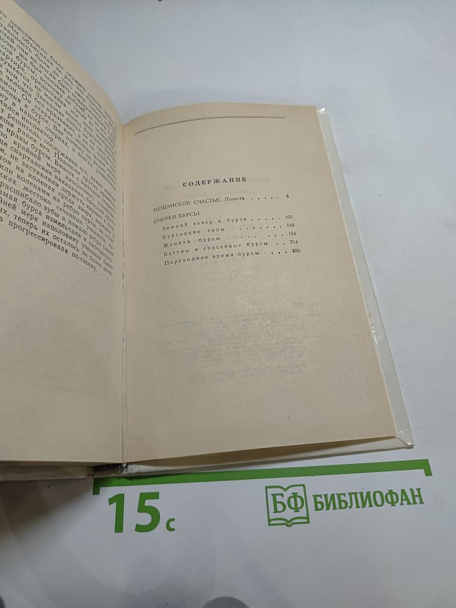 Мещанское счастье. Очерки бурсы