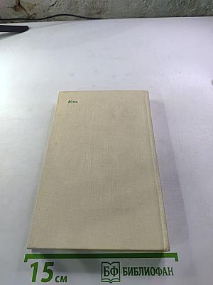 Капитан Райчо Николов