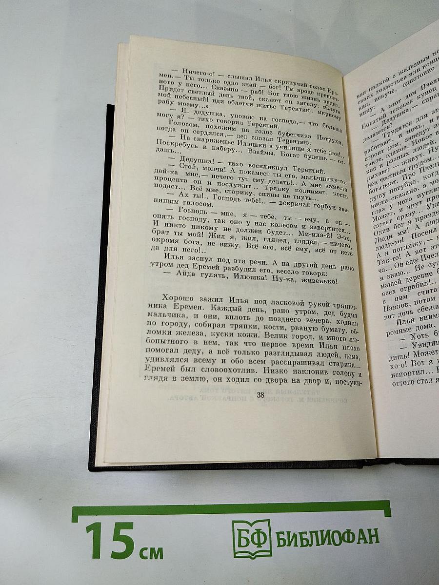 Собрание сочинений. Том пятый: Трое. Рассказы, наброски 1899-1901
