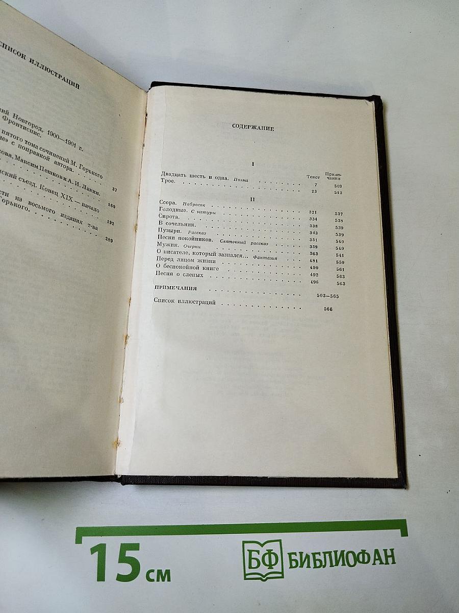 Собрание сочинений. Том пятый: Трое. Рассказы, наброски 1899-1901