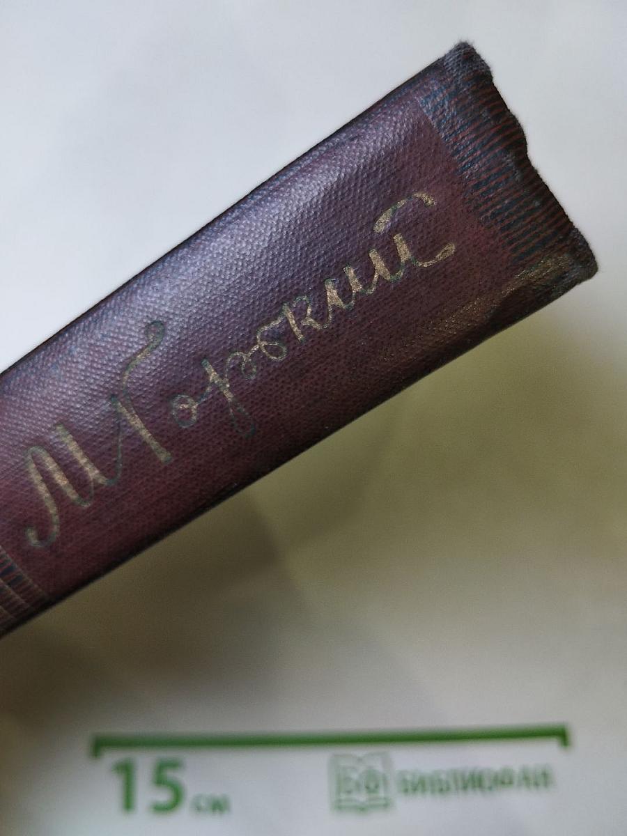Собрание сочинений. Том пятый: Трое. Рассказы, наброски 1899-1901