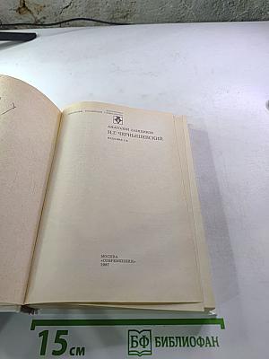 Н.Г. Чернышевский