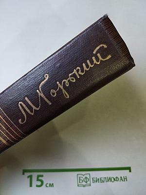 Собрание сочинений. Том третий: Рассказы, очерки 1896 – 1897