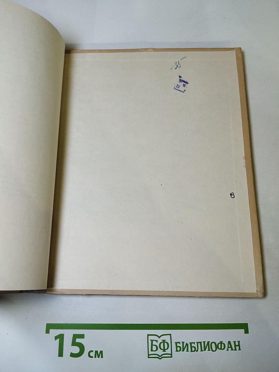 По законам красоты