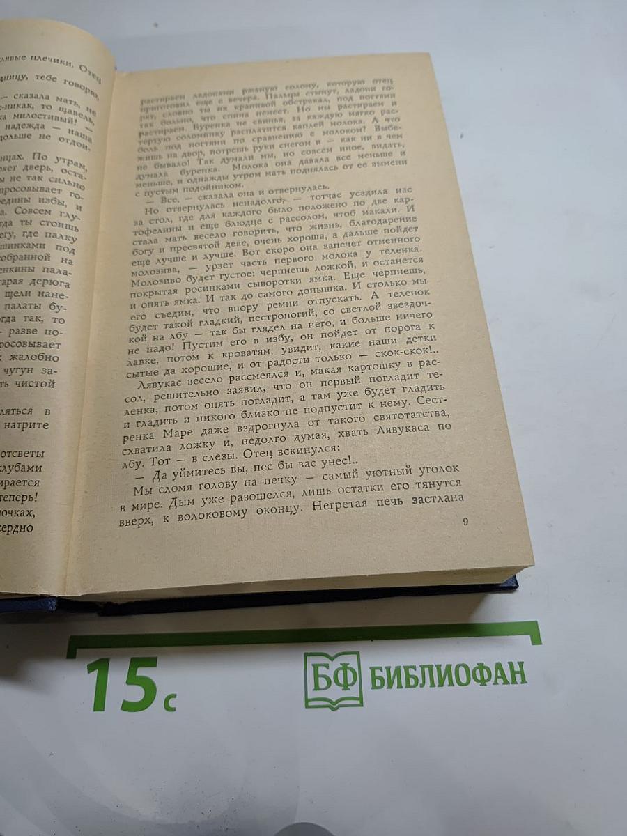 Проданные годы. Роман в новеллах