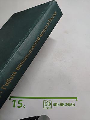 Гибель Наполеоновской Армии в России