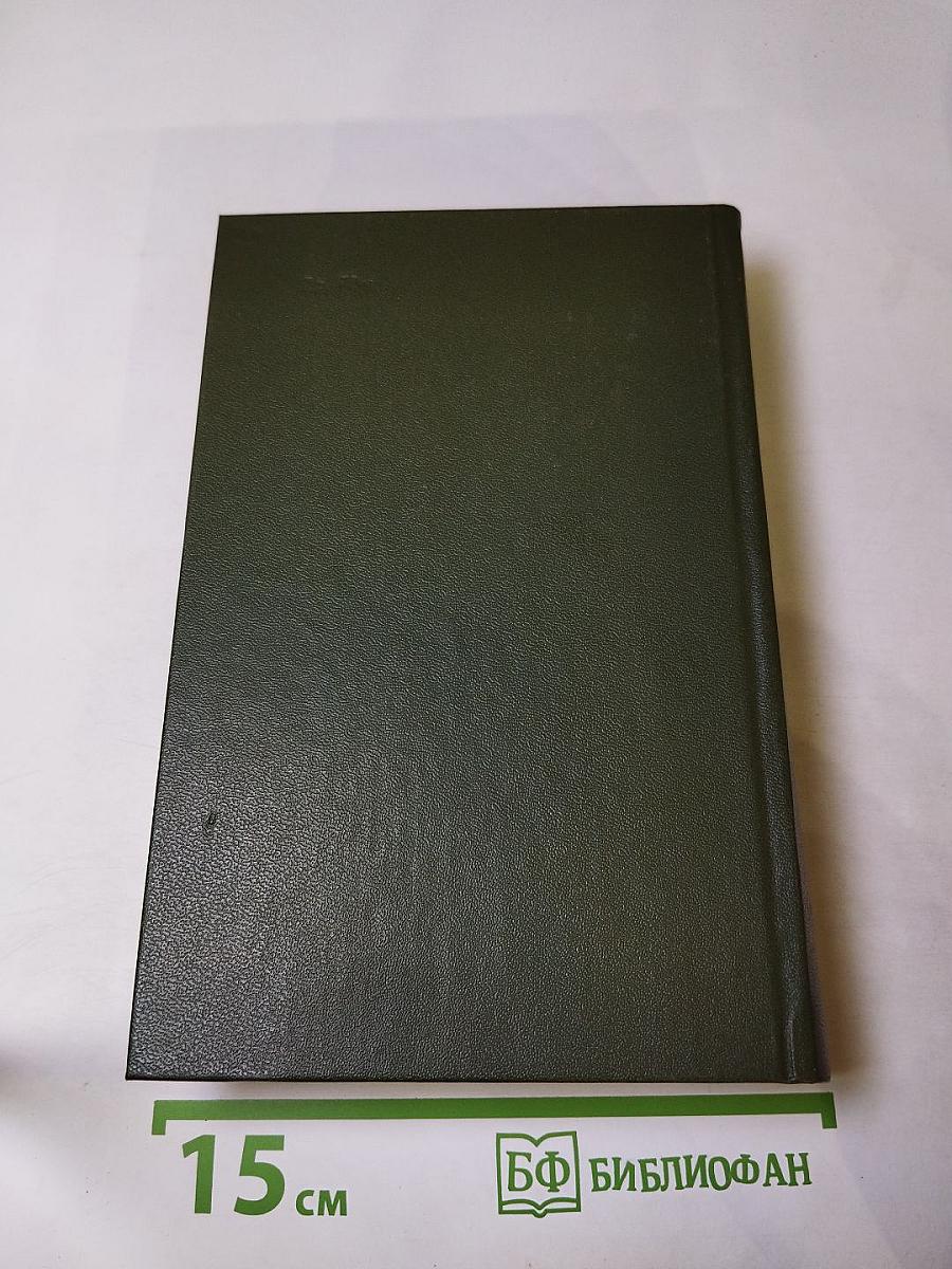 Память. Роман-эссе. Книга вторая