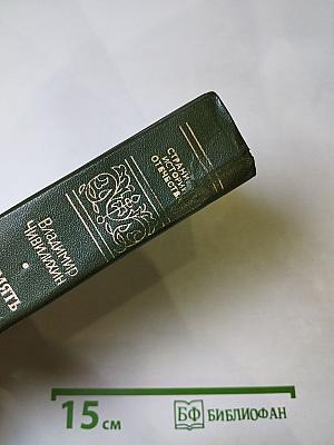 Память. Роман-эссе. Книга вторая