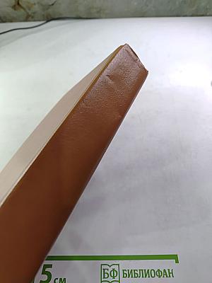 В полёте. Flight