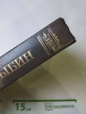 Государи и кочевники. Перелом