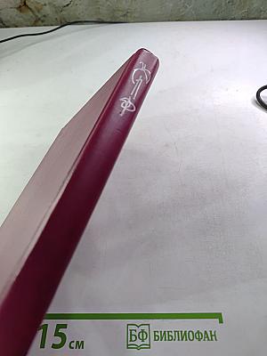 Польский детектив: Сборник