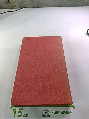 Честь смолоду