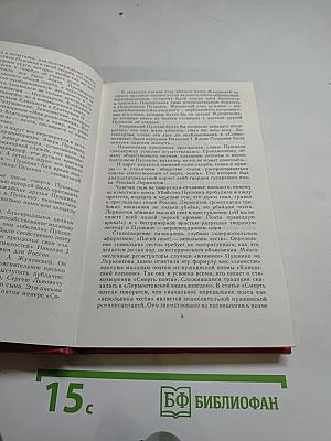 Лермонтов и Пушкин. Проблемы преемственного развития литературы