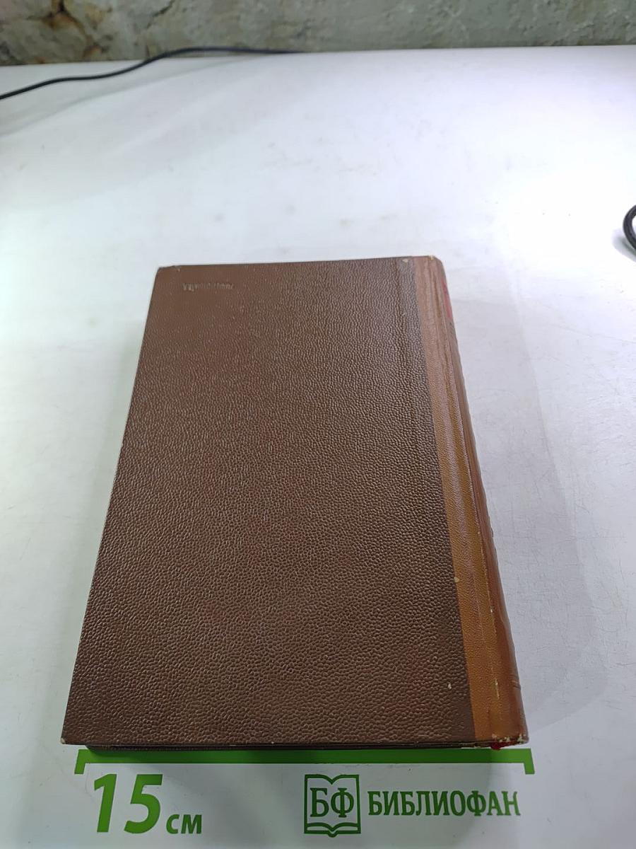 Маяковский. Жизнь и творчество. Том I