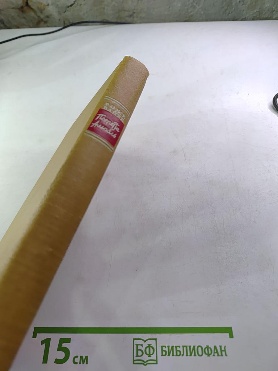 Пьеретта Амабль