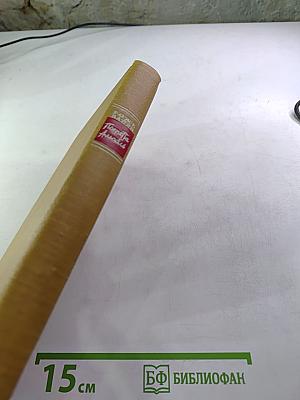 Пьеретта Амабль