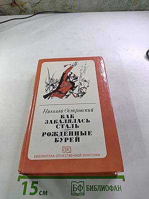 Как закалялась сталь. Рожденные бурей