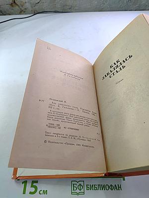 Как закалялась сталь. Рожденные бурей