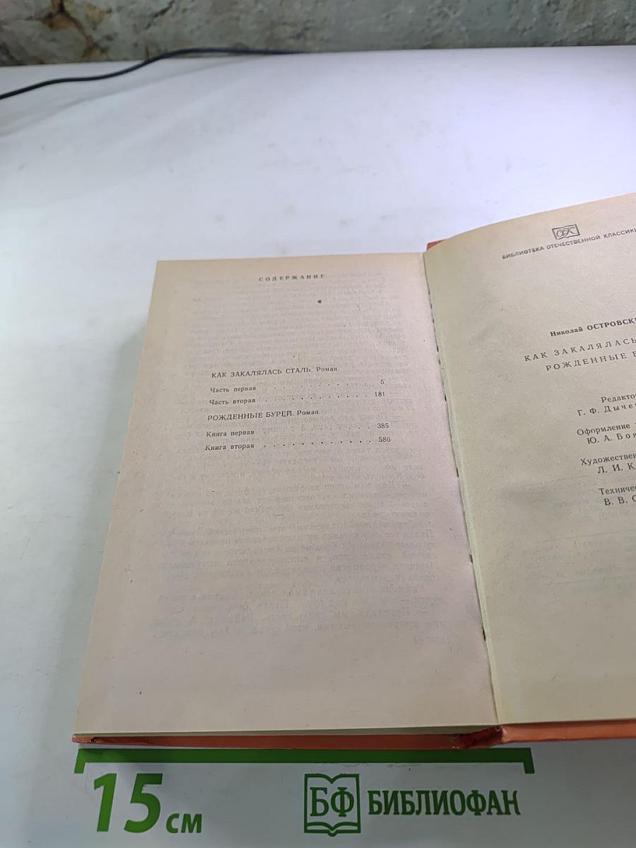Как закалялась сталь. Рожденные бурей