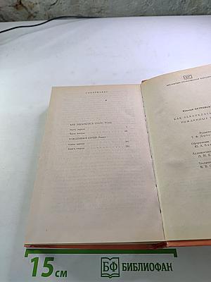 Как закалялась сталь. Рожденные бурей