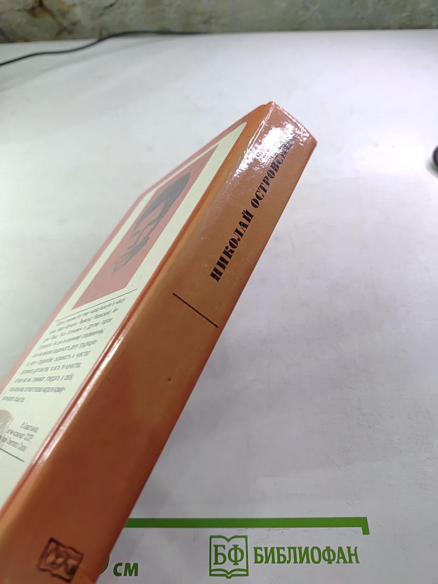 Как закалялась сталь. Рожденные бурей